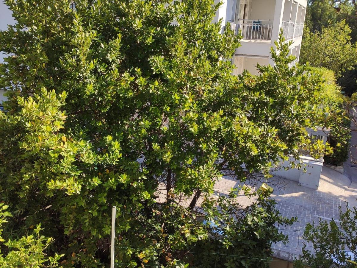 Apartments Ivo Makarska Exterior foto